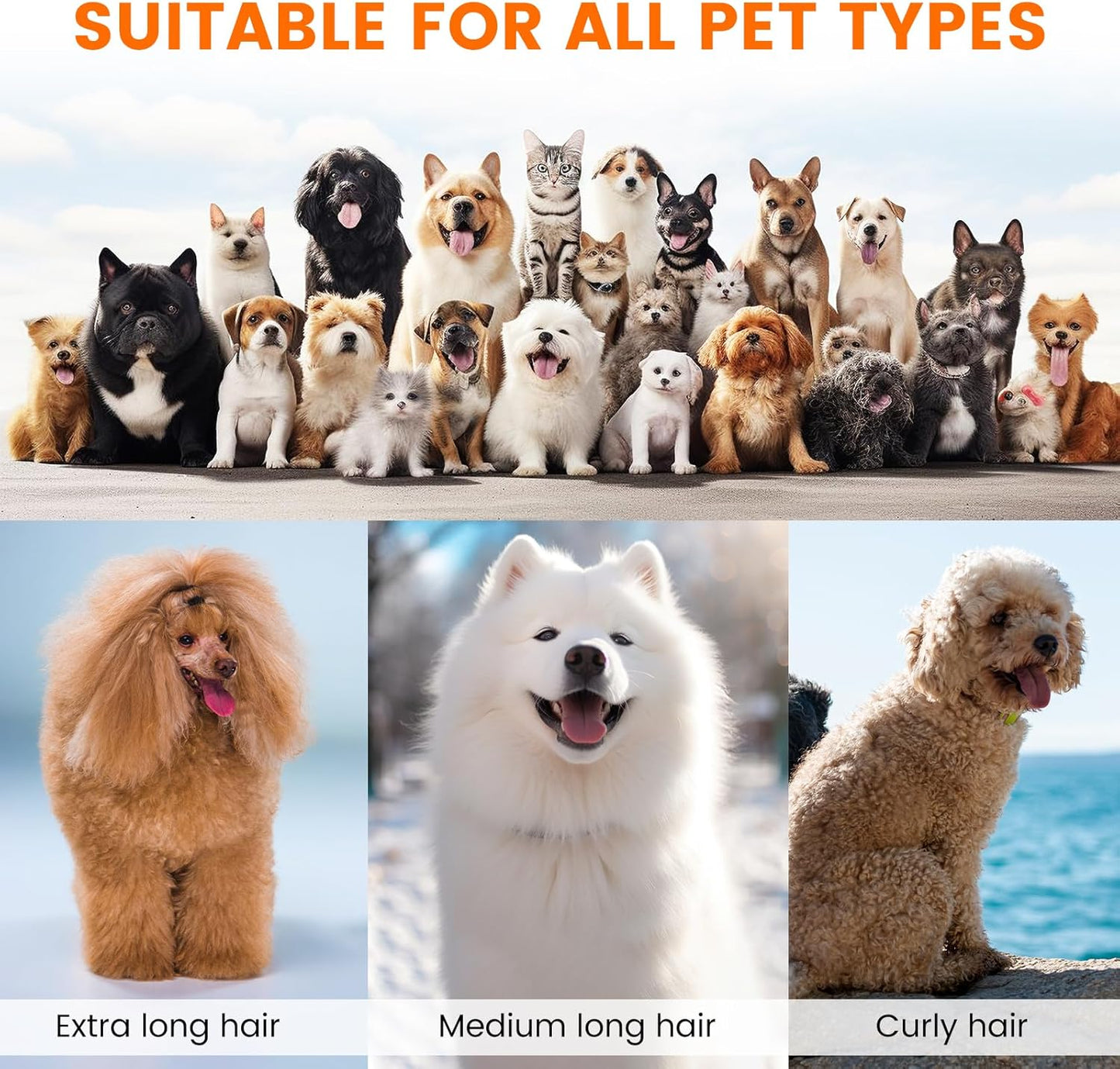 Dog Grooming Kit with Pet Clippers