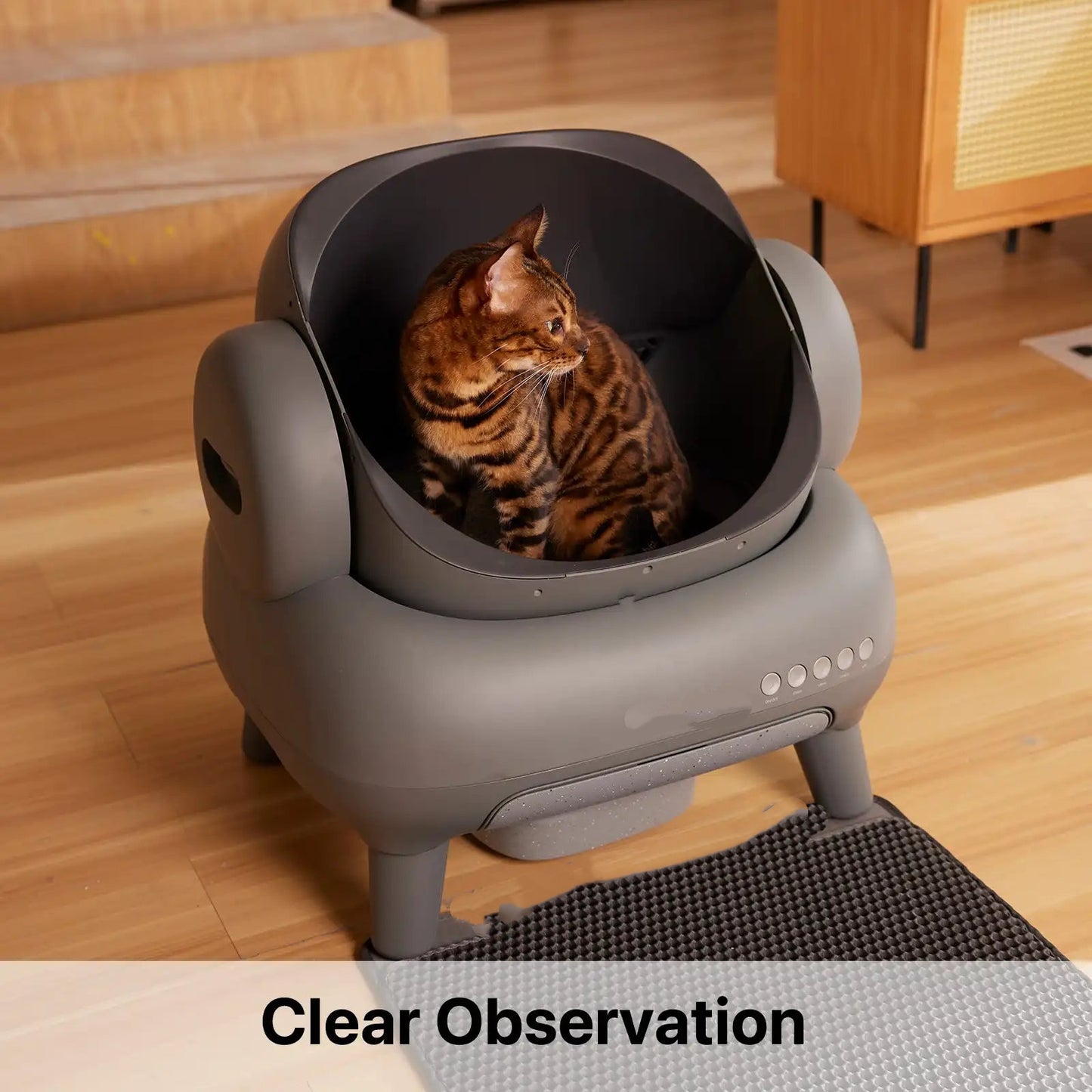 Open-Top Self-Cleaning Cat Litter Box